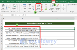 Excel Text To Columns Not Working (4 Reasons With Solutions)