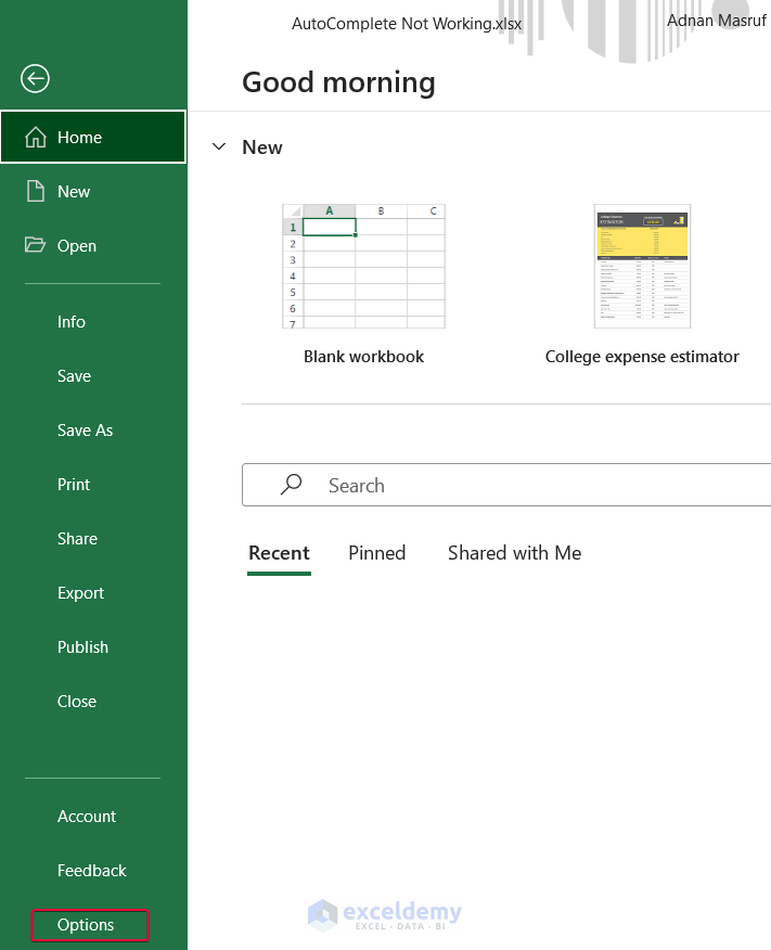 fixed-autocomplete-not-working-in-excel-2-possible-solutions