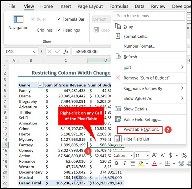 PivotTable Options from context menu