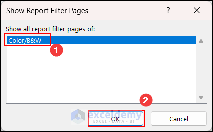 Choosing the filter type in Show Report Filter Pages dialog box