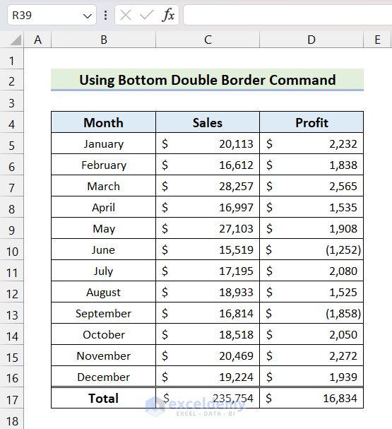 Output After Applying Bottom Double Border Command in Excel