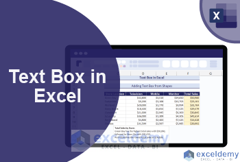 Text Box in Excel - A Complete Overview - ExcelDemy