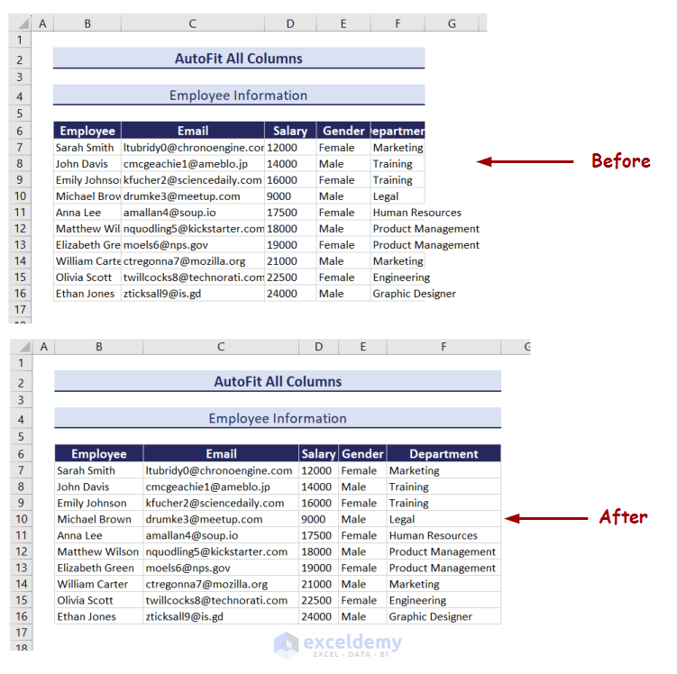 different-methods-to-autofit-rows-and-columns-in-excel-xl-n-cad